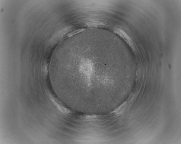 X0000088880405200706081246