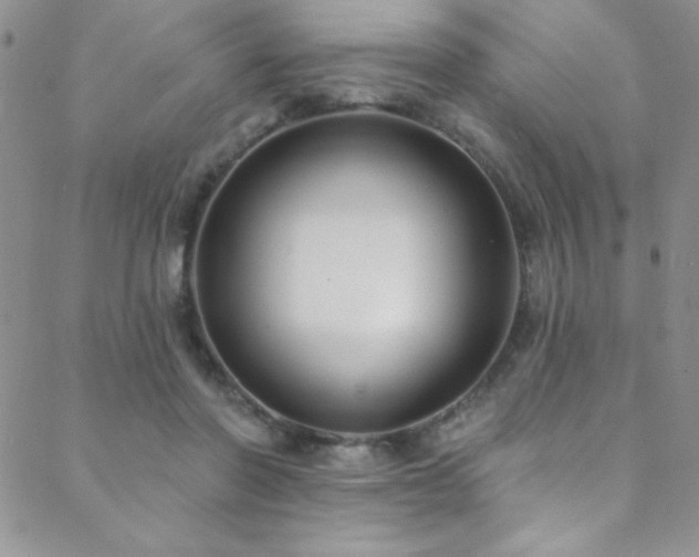 X0000088880406200706081246