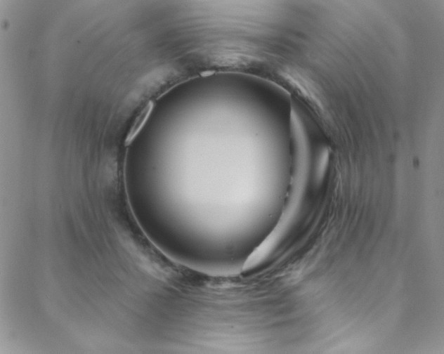 X0000088880407200706081246