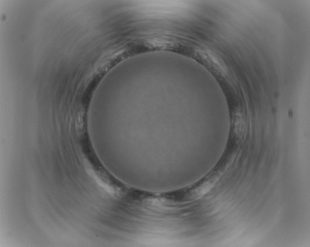 X0000088880408200706081246