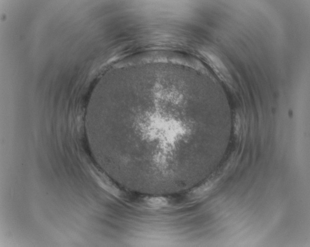 X0000088880409200706081246