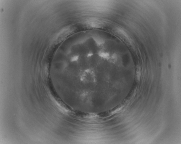 X0000088880410200706081246