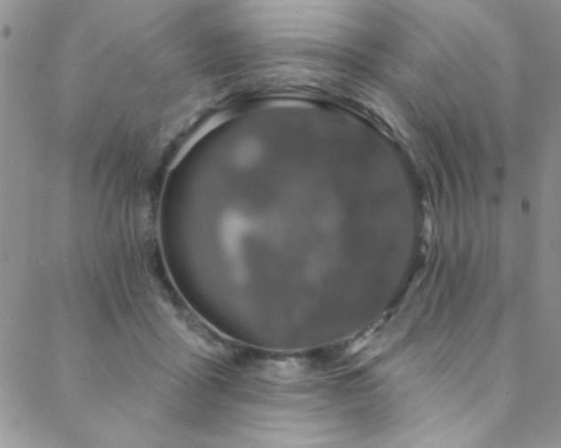 X0000088880411200706081246