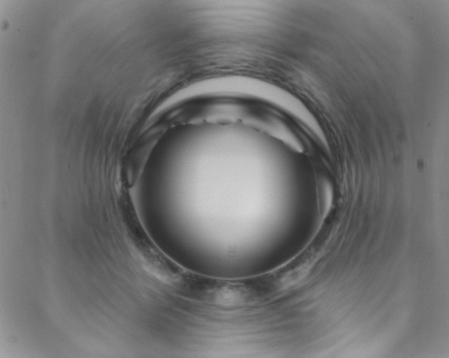 X0000088880412200706081246