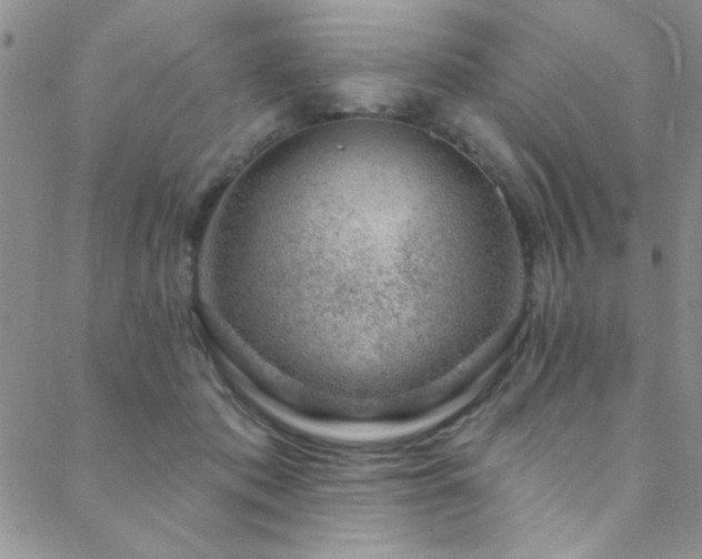 X0000088880413200706081246