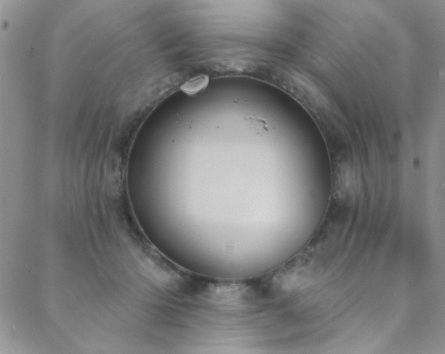 X0000088880414200706081246