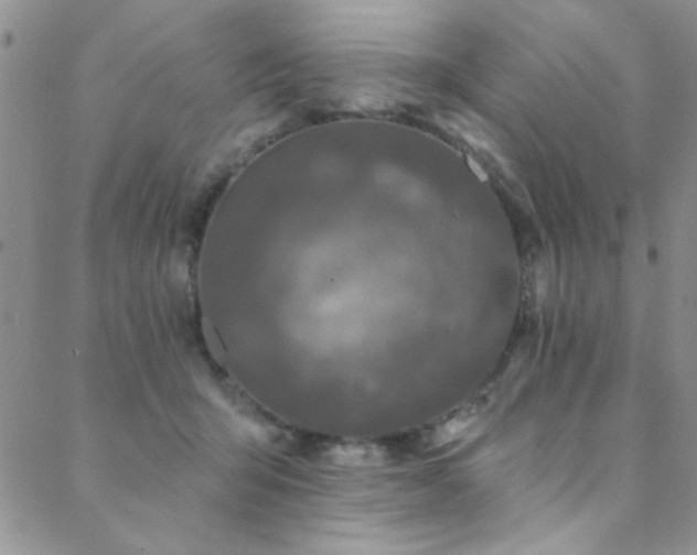 X0000088880415200706081246