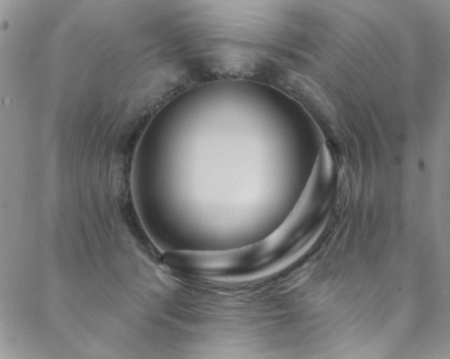 X0000088880416200706081246