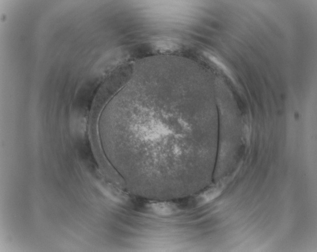 X0000088880417200706081246