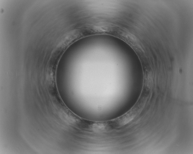 X0000088880418200706081246