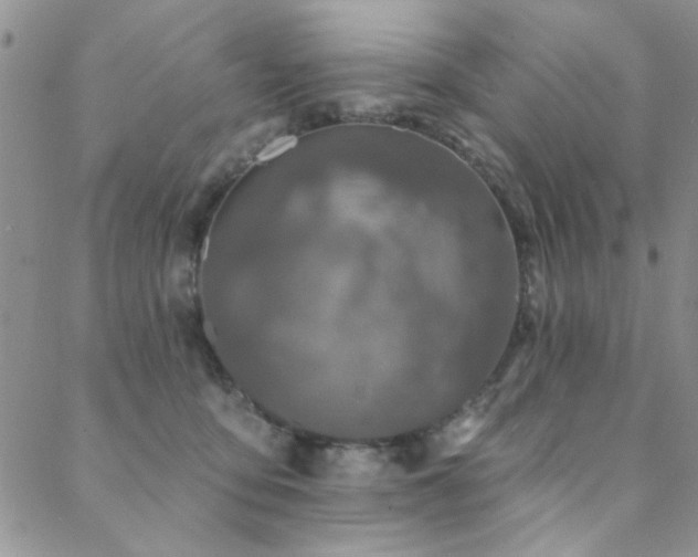 X0000088880419200706081246