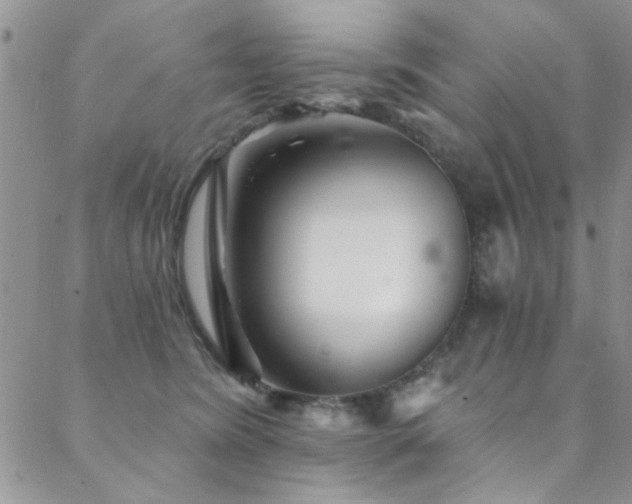 X0000088880420200706081246