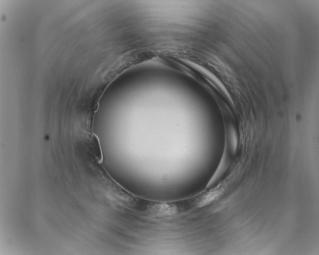 X0000088880421200706081246