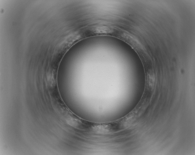 X0000088880422200706081246