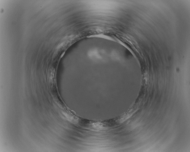 X0000088880423200706081246