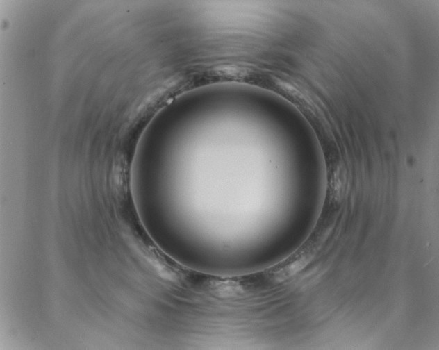 X0000088880424200706081246