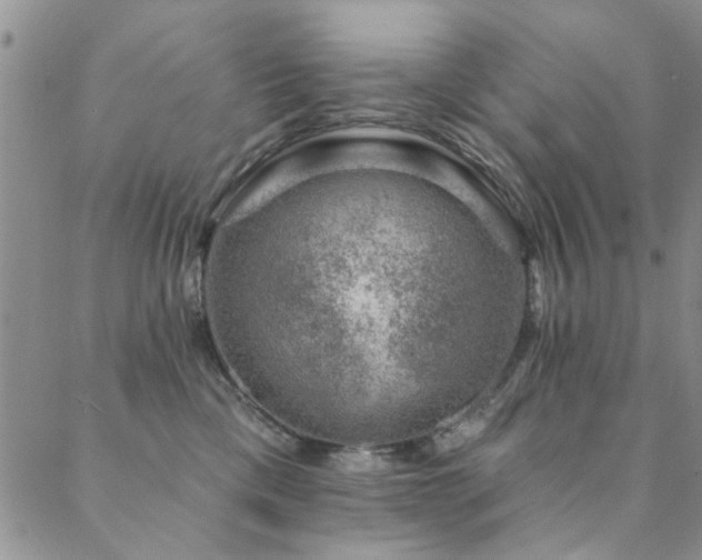 X0000088880425200706081246