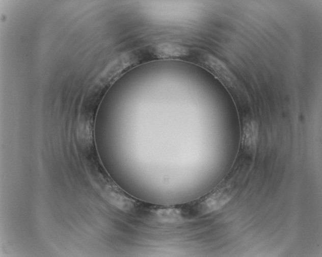 X0000088880426200706081246