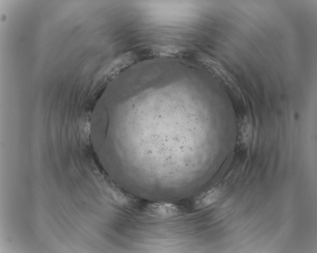 X0000088880427200706081246