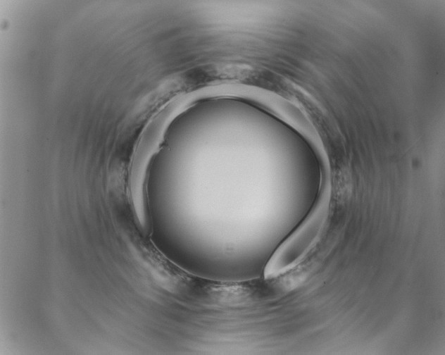 X0000088880428200706081246