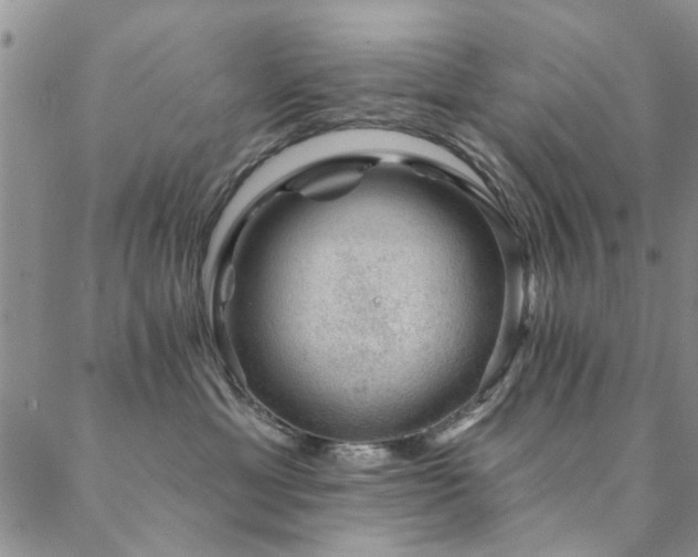 X0000088880429200706081246