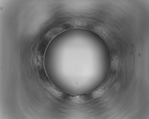 X0000088880430200706081246