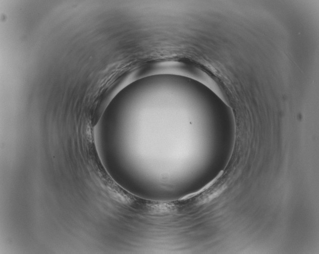 X0000088880432200706081245