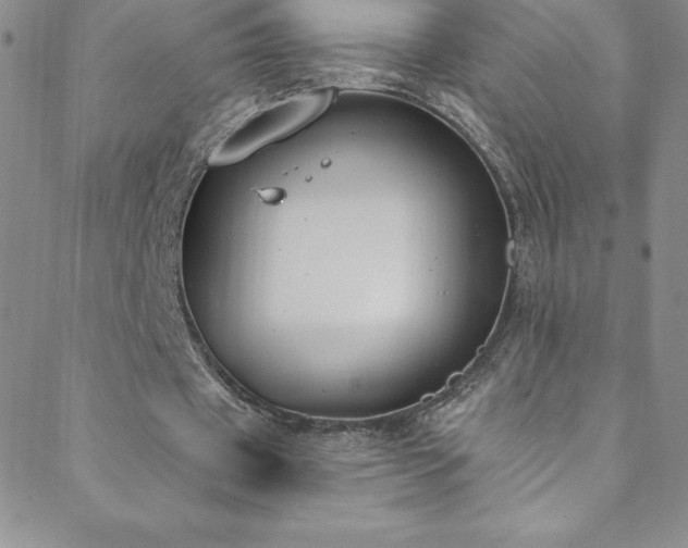 X0000088880433200706081245