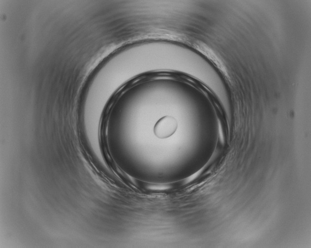 X0000088880436200706081245