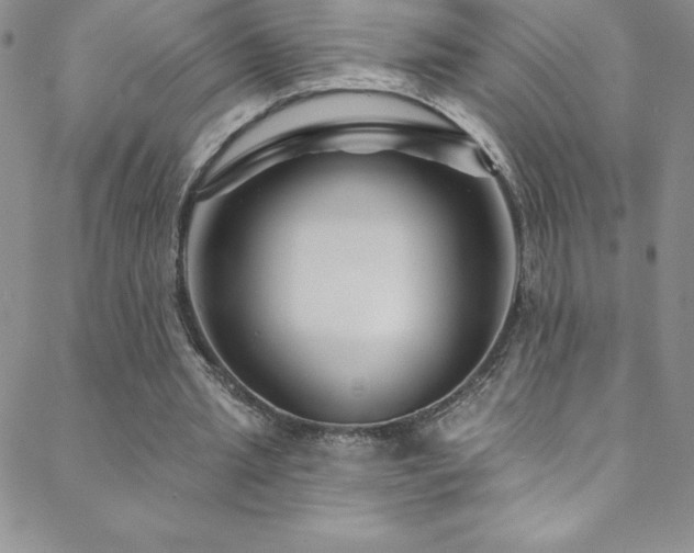 X0000088880437200706081245