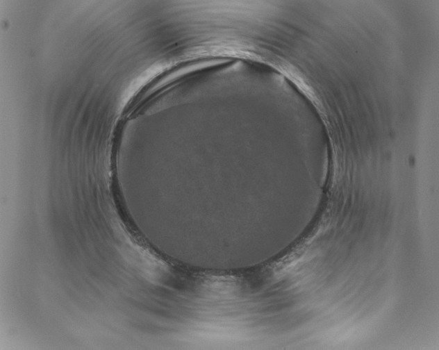 X0000088880438200706081245