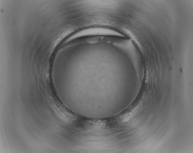 X0000088880443200706081245