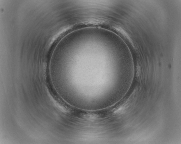 X0000088880444200706081245