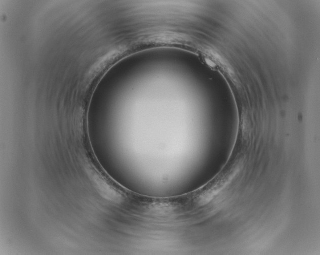 X0000088880445200706081245