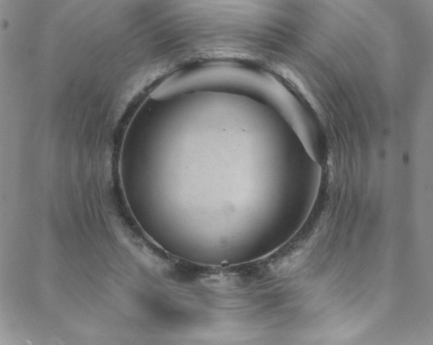 X0000088880447200706081245