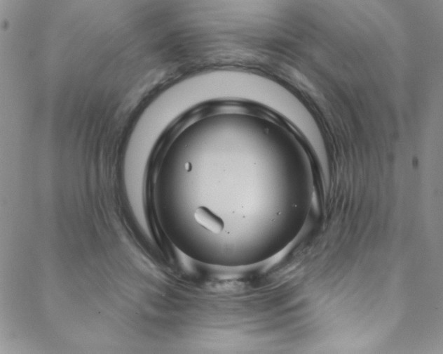 X0000088880452200706081245