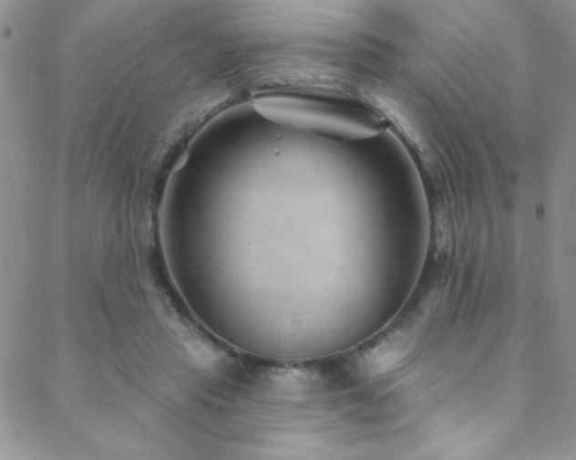 X0000088880453200706081245