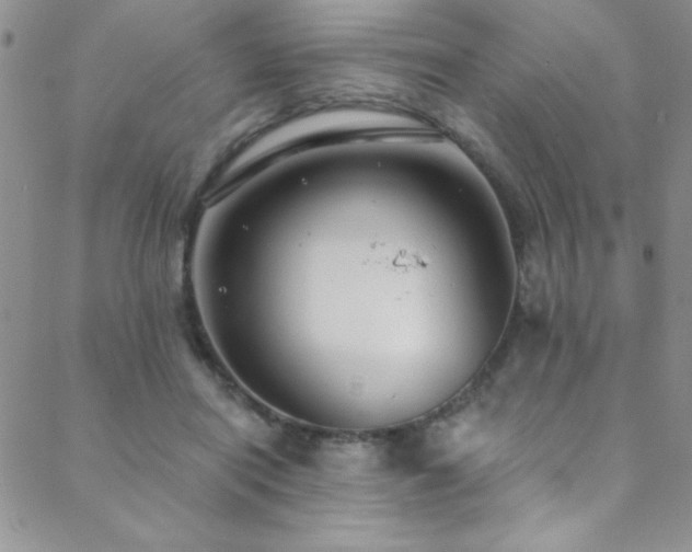 X0000088880454200706081245