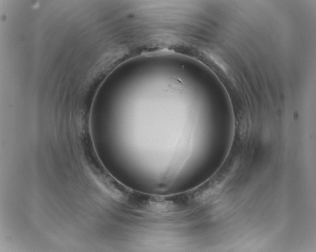 X0000088880455200706081245