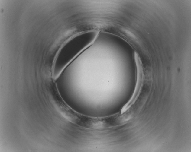 X0000088880456200706081245