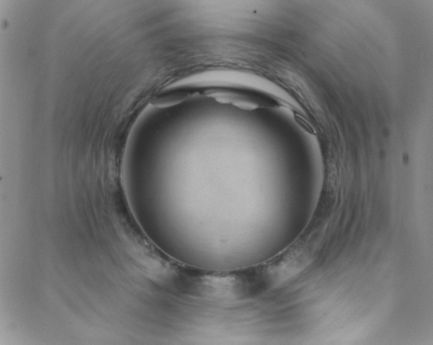 X0000088880457200706081245