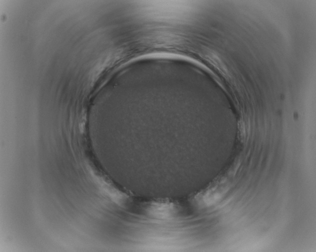 X0000088880458200706081245