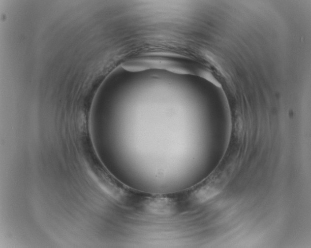 X0000088880459200706081245