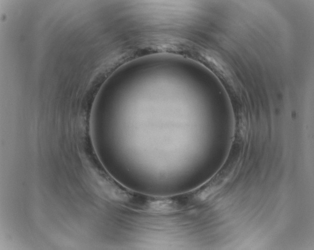 X0000088880461200706081245