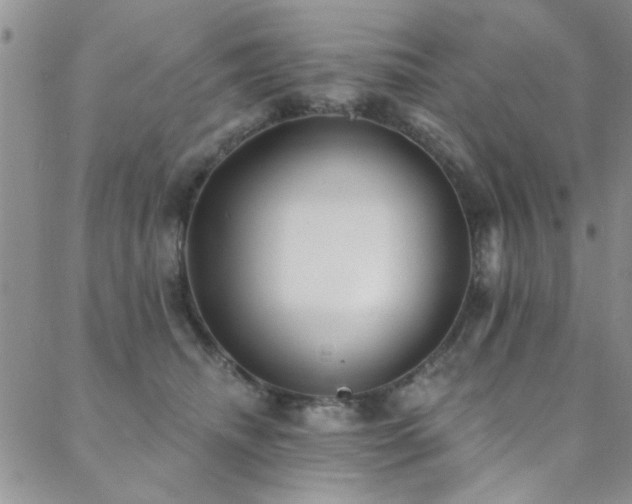 X0000088880468200706081245