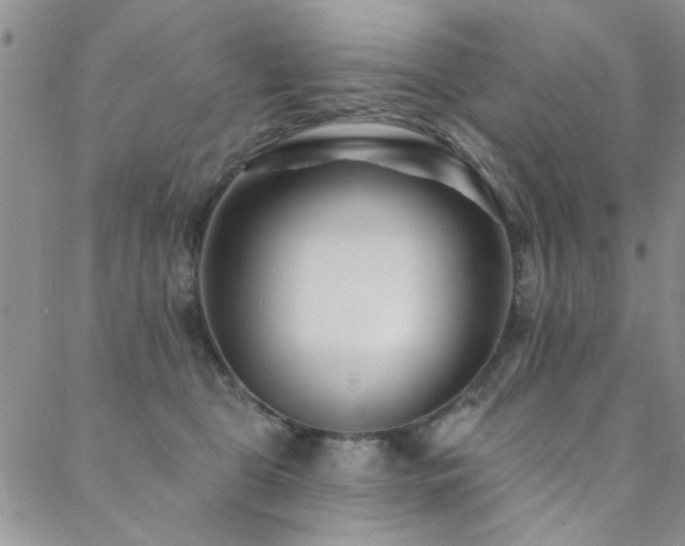 X0000088880469200706081245