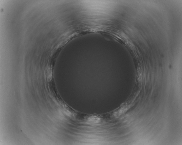 X0000088880471200706081245