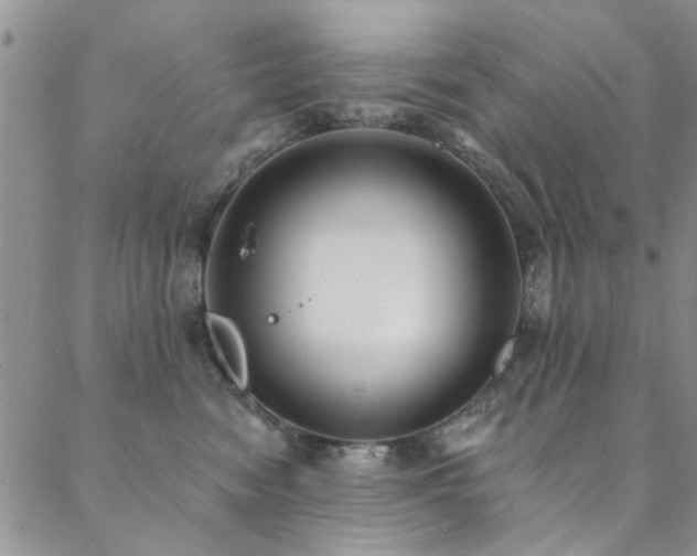 X0000088880474200706081245