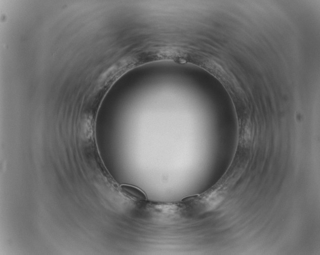 X0000088880478200706081245