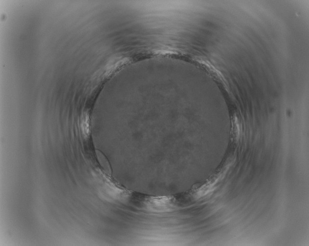 X0000088880479200706081245